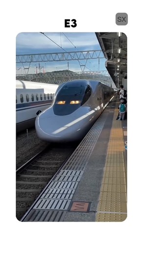 Japan’s Bullet Train Now Carries Fish, Not People! #japan #shorts