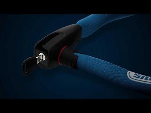 ABUS Catena 6806 - Chain Lock