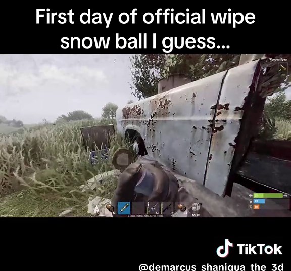 Official Rust Wipe: Snowball Survival Tips