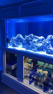 185 reactions · 5 comments | The first ever @kavemansignature...