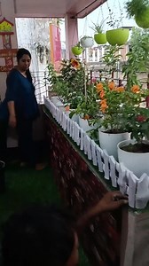 A big messy varanda turned into a beautiful decorative green garden .For such amazing makeover contact us🪴🪴🪴🪴 #makeover #makeoverproject #Varanda #varandagarden #plants #plantsmakepeoplehappy #greenscreen #greenscreenvideo | Green Galeecha