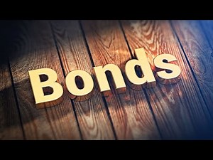 Long Term Liabilities - Notes and Bonds Payable