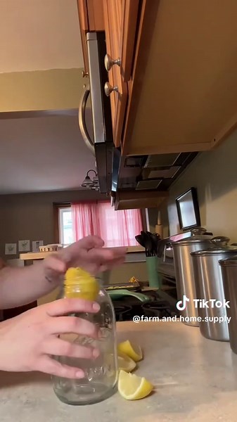 Easy Homemade Lemon Shake Up Recipe