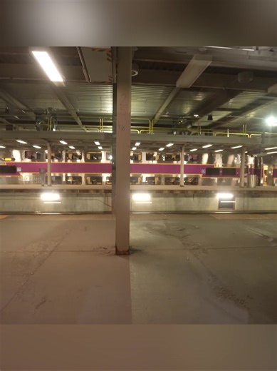 298K views · 4.2K reactions | Riding Amtrak’s BUSIEST Train 﫨 | DownieLive | Facebook