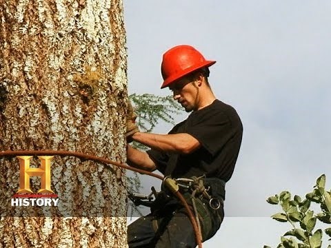 Ax Men: Ax Man Essentials | History