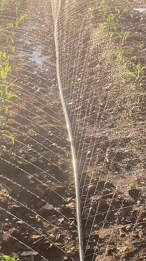 Rain Hose Irrigation System in Accra