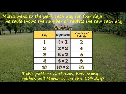 Math - Numerical Patterns - How Many Rabbits