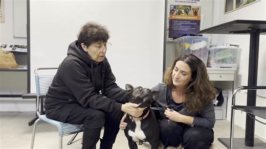 On vous présente Tara (La vidéo entière est disponible sur notre Youtube 👉 https://www.youtube.com/watch?v=05ZmXmoBDIE ) | Association LISA