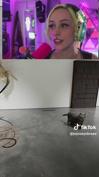 My mind was blown the entire time #twistedgallery #viral #catjam