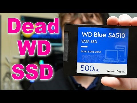 How to Fix a Dead WD SSD - Data Recovery