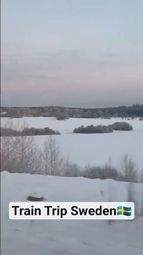 Train trip Sweden 🇸🇪 , between Stockholm and Malmo