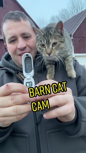 Exploring the Farm as a Barn Cat with a Tiny Camera