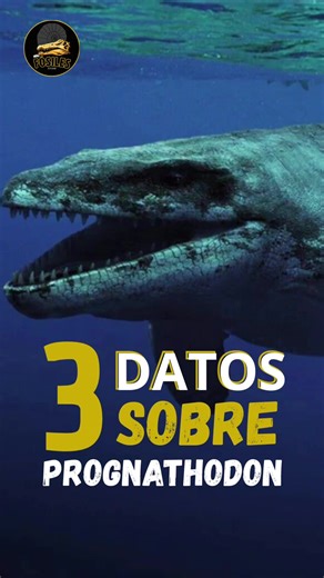 Prognathodon: El terror bajo el mar