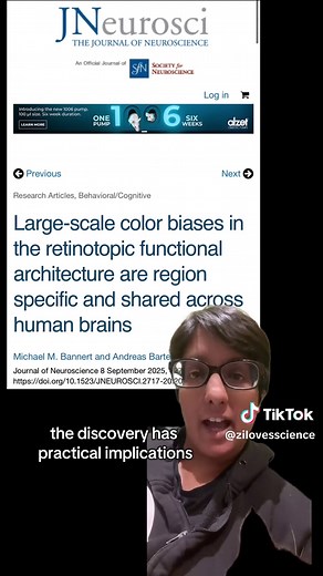 New Study Reveals Shared Brain Activity with Colors