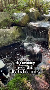 20K views · 947 reactions | yours MIGHT be, but not everyone’s is...