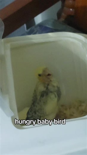 Cashier (@cashier_no_robax0)’s videos with original sound - Cashier