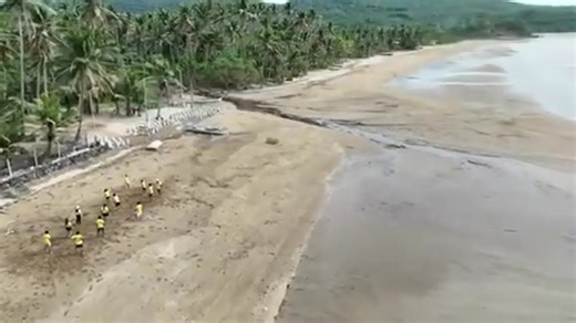 The ALPHA 8 Beach Resort | Alpha 8 Corp