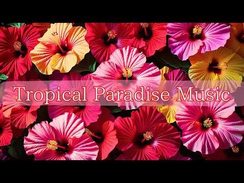 Tropical Paradise Music｜Feel Good Island Vibes｜Escape to a Sunny Beach｜Breathe the Ocean Air🌊