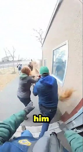 Body Cam Footage: Officers Chase the World’s Most Expensive Horse