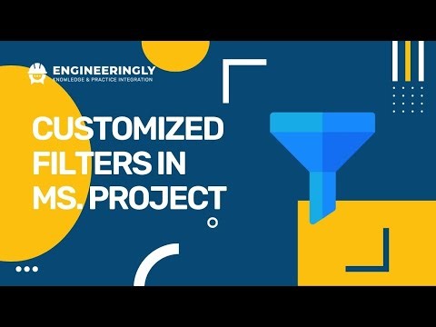 How to Define and Assign Customized Filters in Ms. Project?