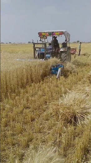 Tractor 🚜 operated BCS reaper binder machine 👍