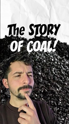 Were We Wrong About How Coal Formed?