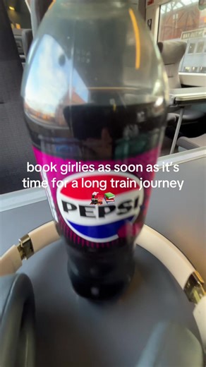 Enjoying a 3-Hour Train Journey with Books