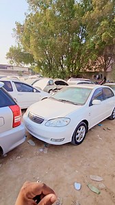 380K views · 3.3K reactions | M.Naeem painter on Reels | Facebook