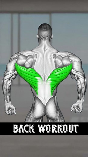 How to Build Wider Back Fast - Back Exercises #backworkout #backday #backexercises #backworkoutday | Trending Gym