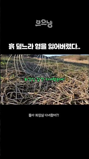 흙 덮느라 형을 잃어버렸다...