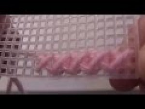 plastic canvas class 1