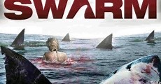 Alerta tiburones (2008)  - Ver Película Completa en Español / Castellano - FULLTV