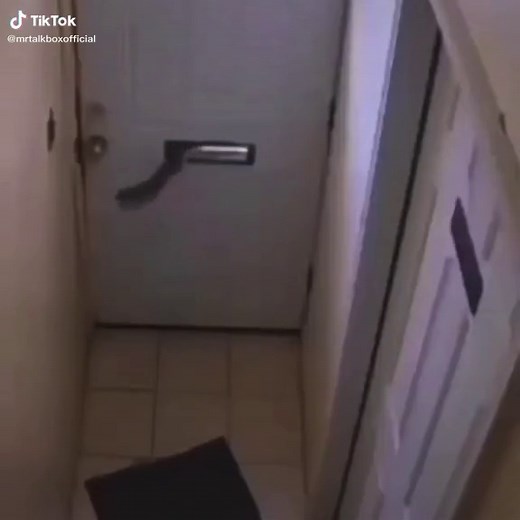 Mr Talkbox on TikTok