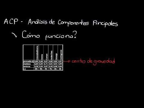 Componentes Principales - 1. Cómo funciona