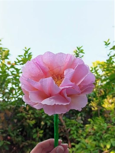 Diy peonies | How to make a peony Flower from paper towels #shortsviral #diy #art #rose #aesthetic