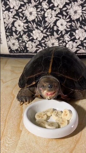 wow nice good job #shorts