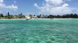46K views · 2.4K reactions | Rum Point trip, anyone? | Visit Cayman Islands | Facebook