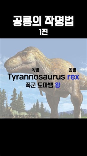 공룡 이름의 비밀??🦖