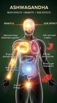 What Ashwagandha Really Does Inside Your Body: Benefits & Side Effects Explained!