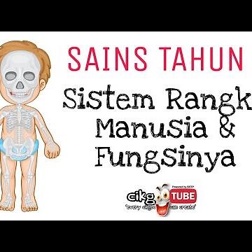 SISTEM RANGKA MANUSIA (Sains Tahun 5 Unit 2) KSSR 2021