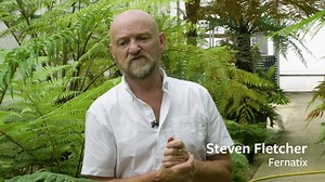Steven Fletcher from fern specialist Fernatix shares some top tips on how to look after your tree fern. If you keep on top of the watering, your tree fern should bring you joy for many years. 🌿⁣ You can find more tree fern advice here 👇 https://www.rhs.org.uk/advice/profile?pid=171 | RHS - Royal Horticultural Society