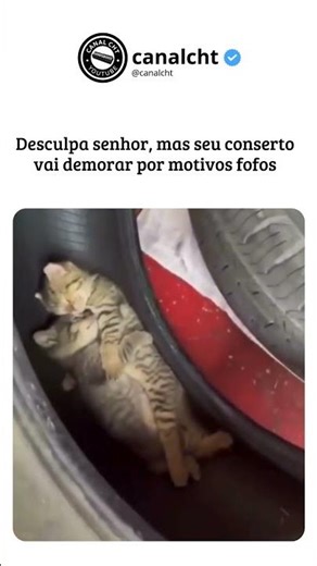 seu PNEU vai ter que ESPERAR senhor 🥰