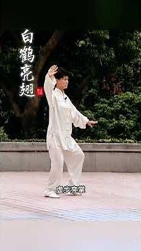 陳式太極基礎22式拳口令帶練7-22式 #taichi #陳式太極拳