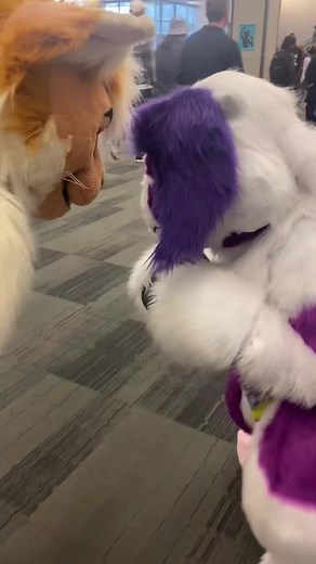 Furry Fight! Two Furries Battling in a Fursuit Clash