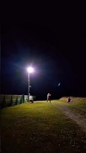 bones - Малотов (Перевод) #bones #bonesперевод #bonesmolotov #bonesmolotovперевод