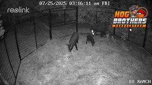 41K views · 470 reactions | ➡️ No escape. They walked in. The gate...