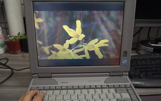 DOS系统应用连载【05】DOS版看图软件SEA和Acrobat PDF阅读软件1.0版本