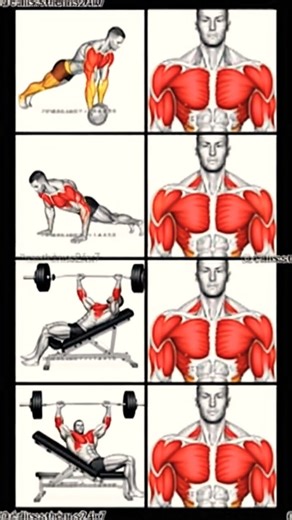 Gym for beginnersEasy workoutBasic gym tipsForm mistakesBeginner routine.#shorts #youtubeshorts