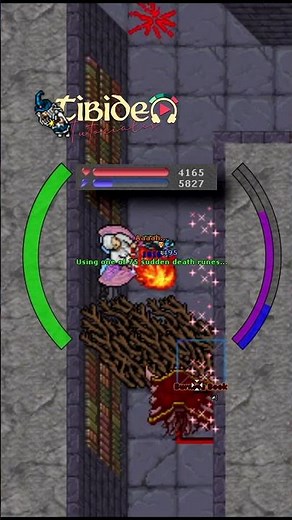 TIBIA / EXALTED BURNING BOOK