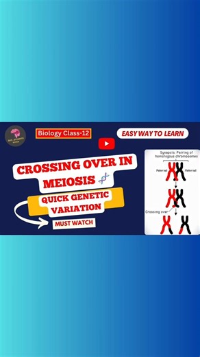 Crossing Over in Meiosis 🧬 | Quick Genetic Variation | Bio_Science Guide | #Shorts